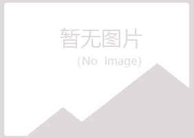 威海环翠夏日服务有限公司